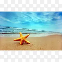 海滩上的五角星唯美素材