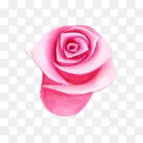 粉色手绘艺术花朵装饰
