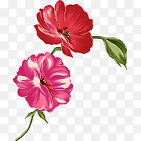 手绘红色粉色花朵植物