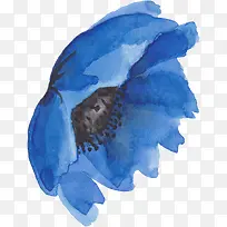 水彩蓝色花朵