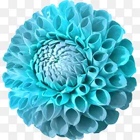 花草图案素材手绘花卉素材