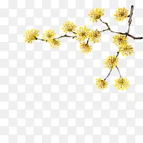 黄色手绘小花树枝