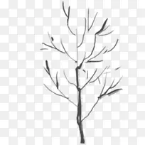 冬日黑色树枝手绘