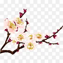 手绘中国风梅花树枝插图
