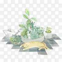 水彩植物