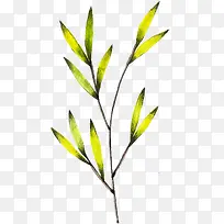水彩植物