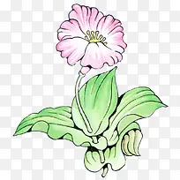 花草