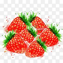 草莓插画水果