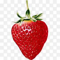 高清草莓 大草莓