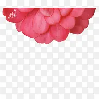红色花瓣