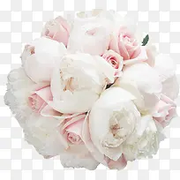 粉色玫瑰婚庆图片