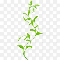 绿色清爽树叶花藤设计