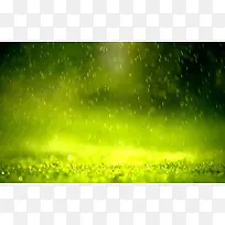 水滴雨滴唯美绿色