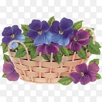 紫蓝花朵花篮