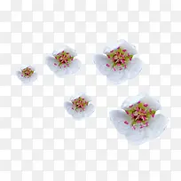 朵朵梨花花瓣图片素材