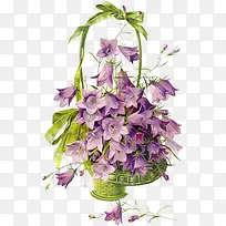 紫色花朵花篮