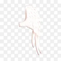 天使的白色翅膀