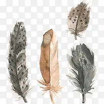 矢量手绘四根不同的动物羽毛