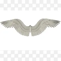 白色翅膀图案