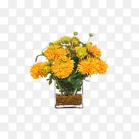 欧美流行插花 绿植物 鲜花软装