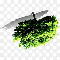高清创意摄影效果绿色大树