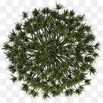 创意手绘合成绿色的大树植物