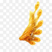 黄色创意手绘风格小麦
