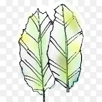 创意高清绿色植物手绘风格