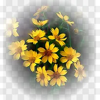 花草背景素材花卉图片素材