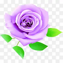 紫色欧式可爱花朵