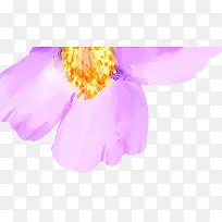 插画紫色花朵花瓣