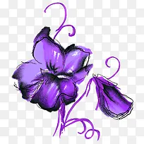 紫色的手绘花朵