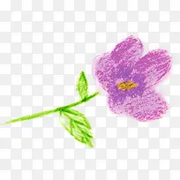 紫色手绘花朵植物美景