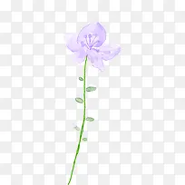 手绘紫色淡彩花卉展板