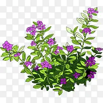 手绘紫色美景花朵植物创意