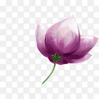 手绘紫色花卉漫画