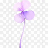 紫色卡通透明四叶花花朵