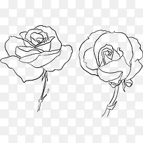 手绘素描玫瑰花图片