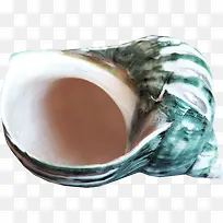 海贝
