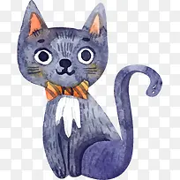 可爱灰色猫咪