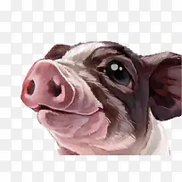 彩绘猪头素材图片