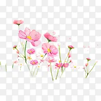 粉色花卉展架素材