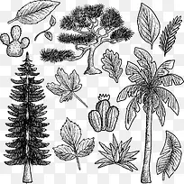 14素描植物矢量图