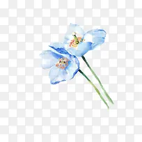 蓝色淡雅花朵植物