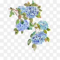 蓝色水彩花朵插画