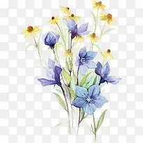 蓝色花朵植物花朵手绘花朵