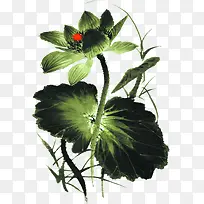手绘绿色荷花装饰