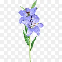 蓝色水彩设计花朵