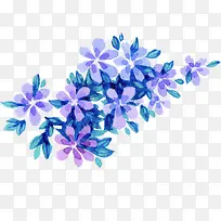 唯美手绘蓝色花朵