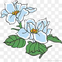 手绘蓝色花朵植物美景